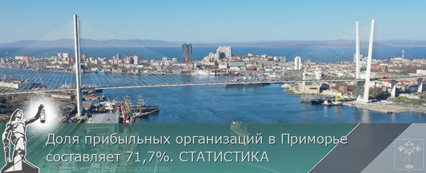 Доля прибыльных организаций в Приморье составляет 71,7%. СТАТИСТИКА