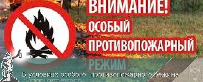 В условиях особого  противопожарного режима